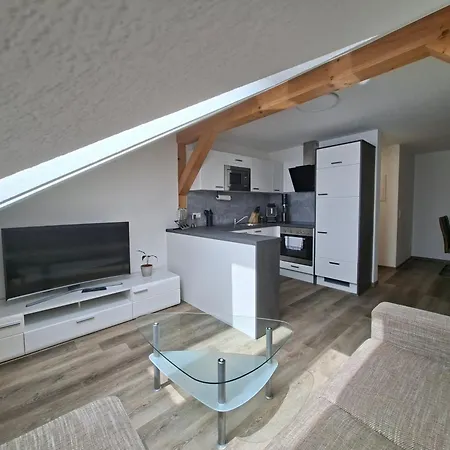 Apartment Am Herrenteich Schneeberg (Saxony)
